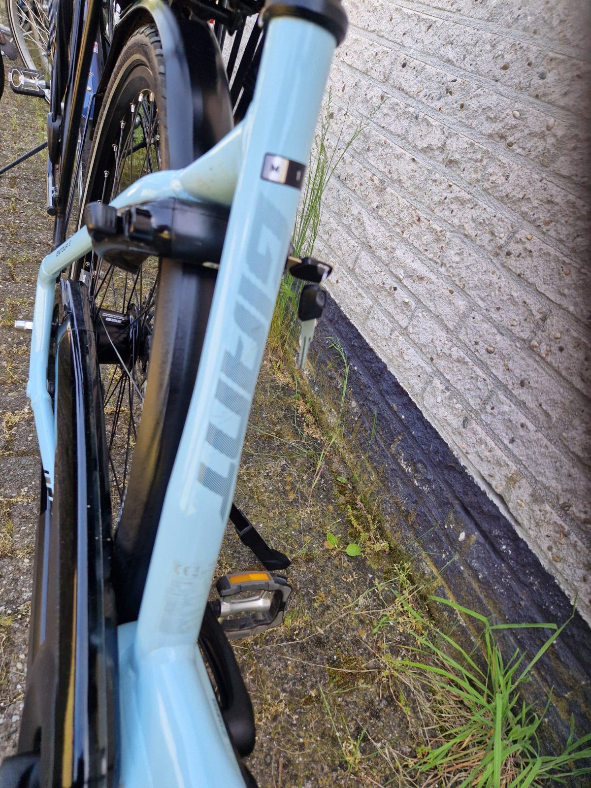 Giant Entour E Dames — tweedehands e-bike — foto 4