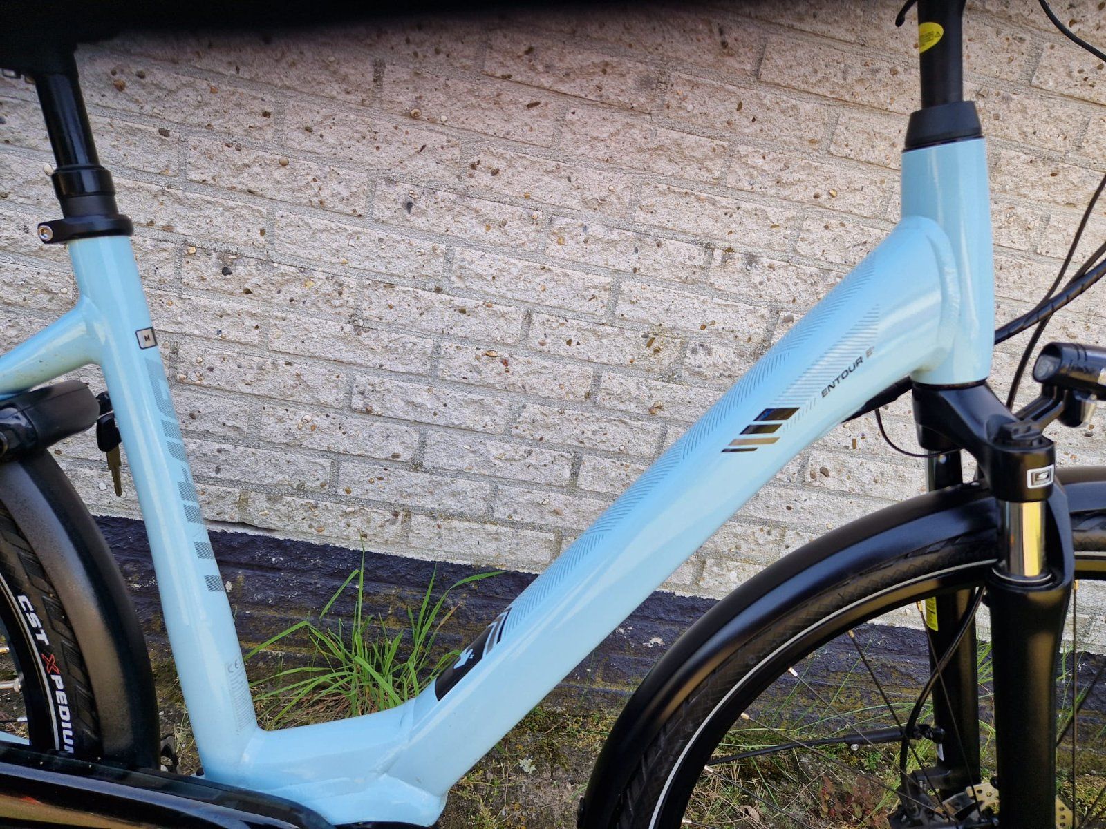 Giant Entour E Dames — tweedehands e-bike — foto 2
