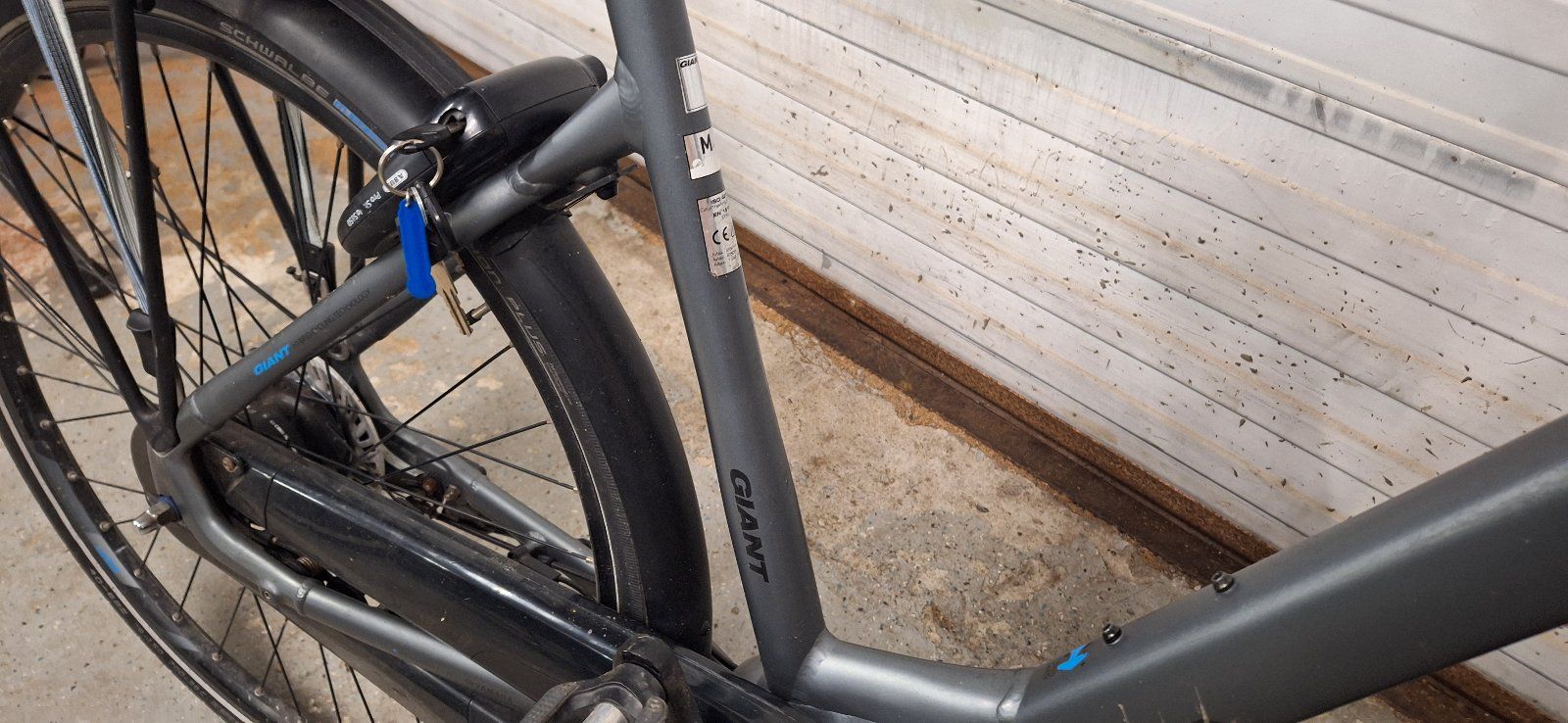 Giant Entour E Dames — tweedehands e-bike — foto 3