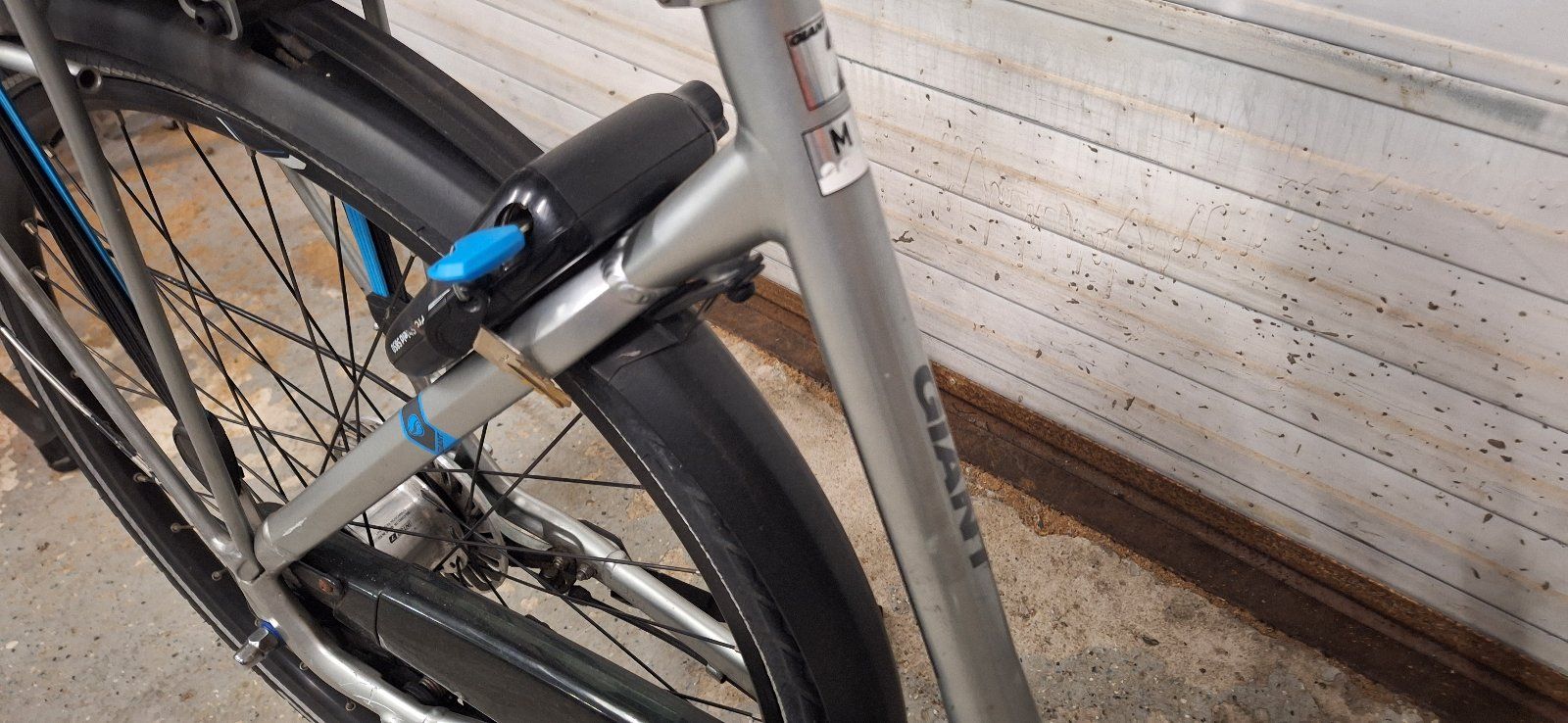 Giant Ease-e Dames — tweedehands e-bike — foto 3