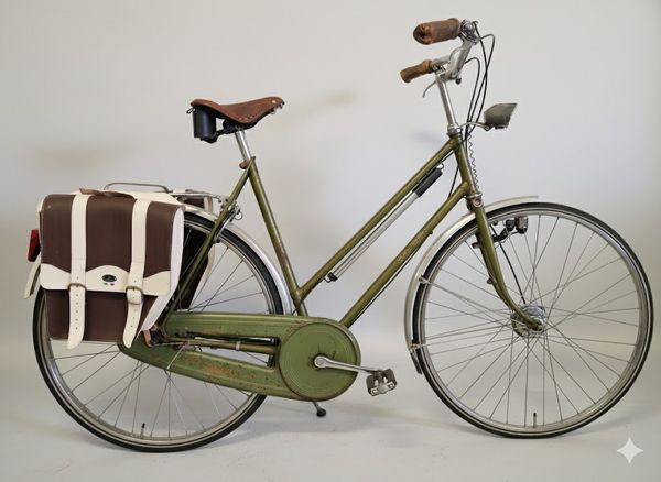 Raleigh Groen Damesfiets — tweedehands stadsfiets